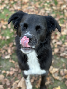Ellie