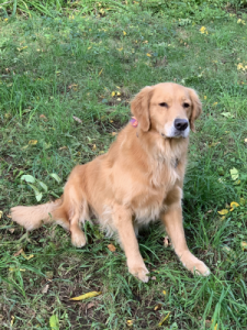 Janie