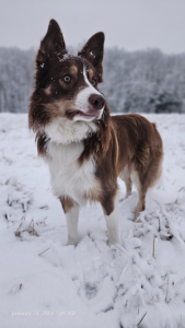 Rudy