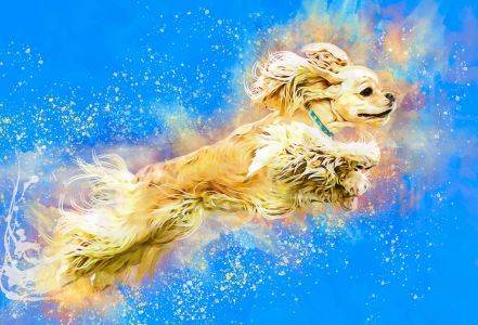 Skybee