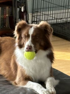 Penny