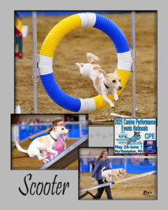 Scooter