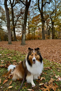 Skye