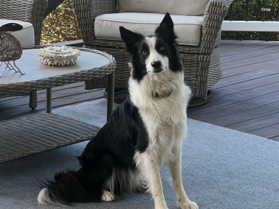 Beau