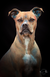 Atticus
