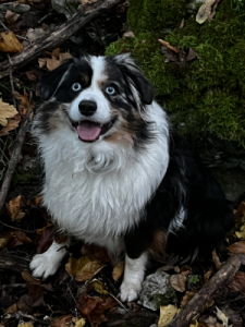 Rocky