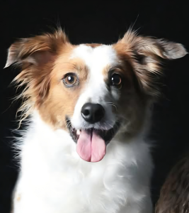 Chloe