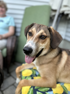 Murphy