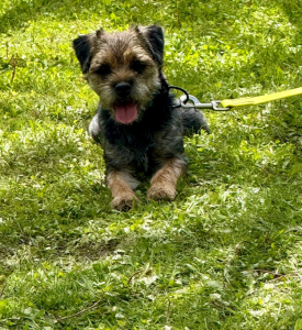 Vinny