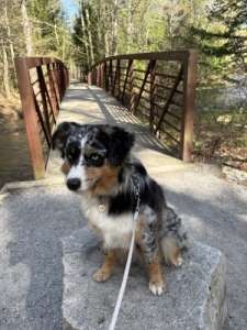 Daisy