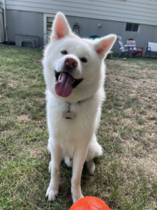 Yuki