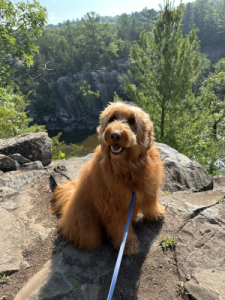 Odin