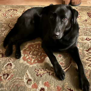 Maggie