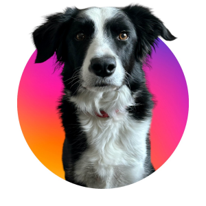 Jet