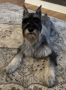 Nordic Sky'S Stryker