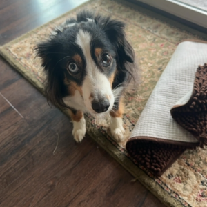 Penny