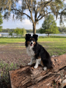 Addie