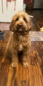 Tucker