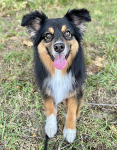 Yuki