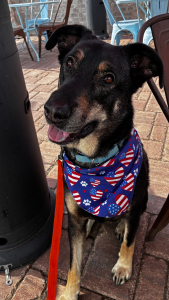 Tucker