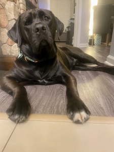 Bubba