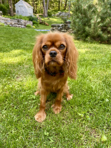 Ellie Mae