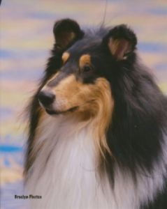 Quinny