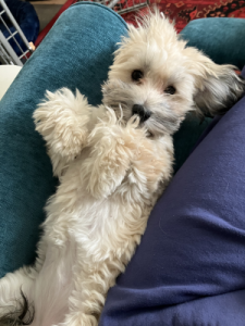 Bonnie